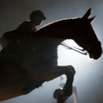 Digitale Transformation im Kundenservice,Kundenservice im digitalen Zeitalter,Digitale Transformation im Unternehmen,Digitale Kundenerfahrung,Digitale Interaktionen im Kundenservice,Digitale revolution im Kundenservice,Digitale Transformation Kundenzufriedenheit